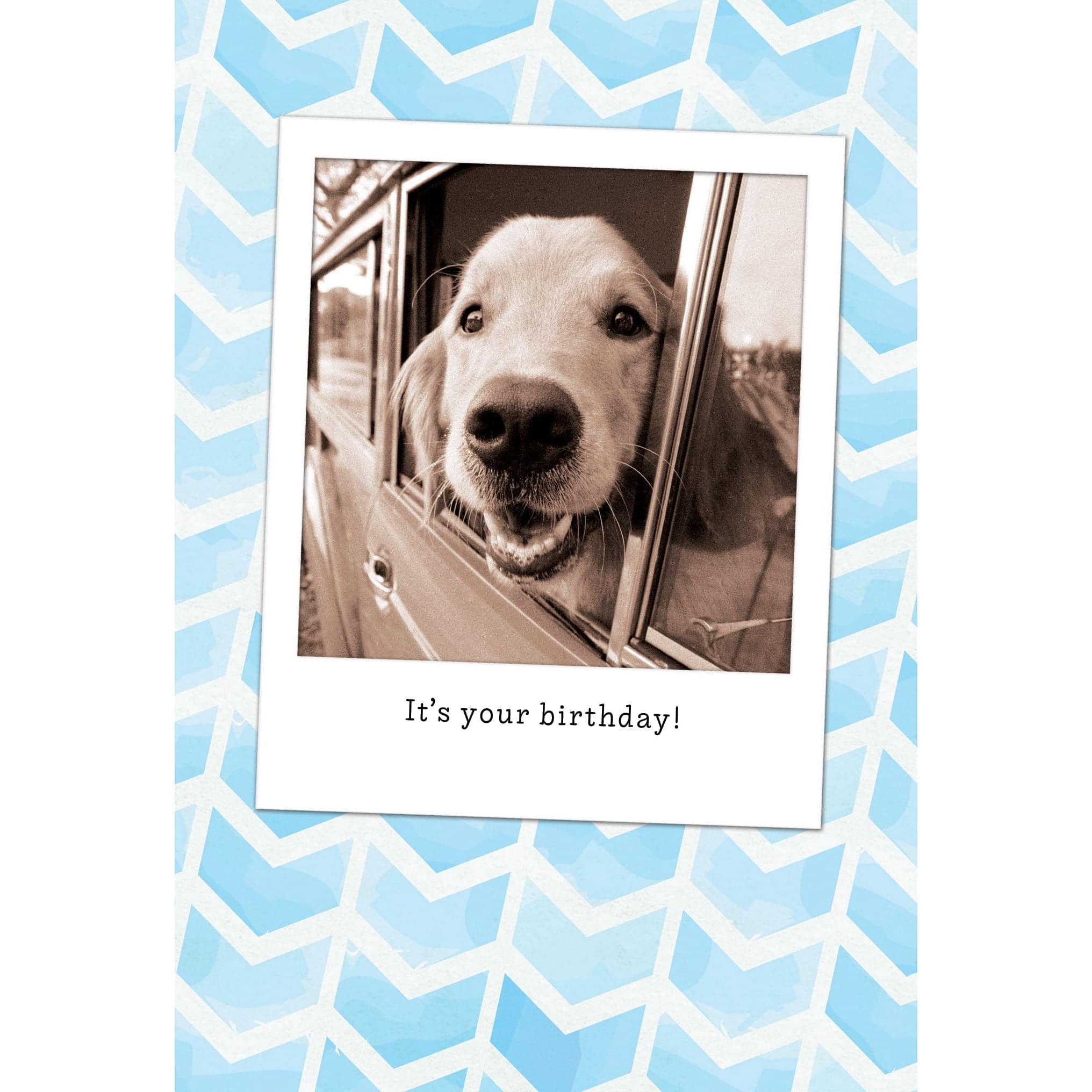 Dog in car birthday card by Pictura featuring a cheerful dog sitting in a car, perfect for everyday greeting occasions.